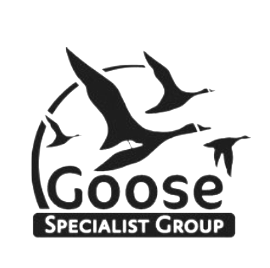 Goose Specialist Group